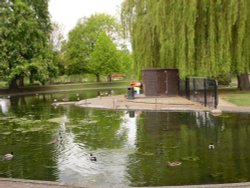Colchester, pond in the castle park