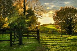 Shillingstone in Dorset Wallpaper