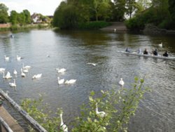 Worcester, the river Severn, a warm and sunny day, 18th May 2010 Wallpaper