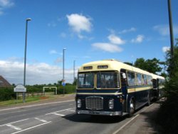 Royal Blue at Standish