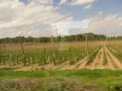 Picturesque places near Ledbury Wallpaper