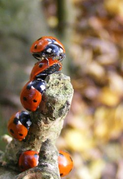 Soaking up the last sun