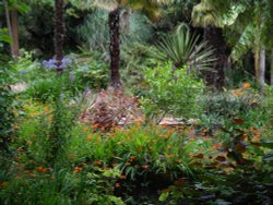 The tropical border at Oldway Mansion. Wallpaper