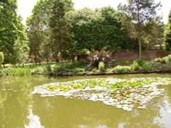 Pond in the Bewdley Museum Wallpaper