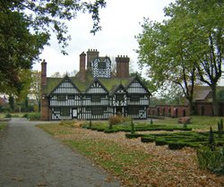 The Old Oak House Wallpaper