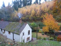 Quantock Hills Wallpaper
