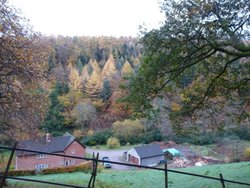 Quantock Hills Wallpaper