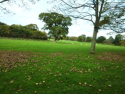 Benacre Hall Park Wallpaper
