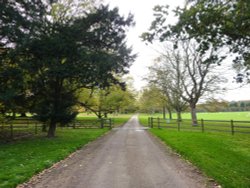 Benacre Hall Park Driveway Wallpaper