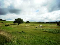 Heath,Wakefield Wallpaper