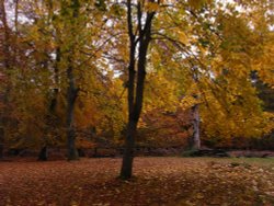 Early one autumn morning