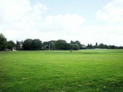 View across the Common at Heath Wallpaper