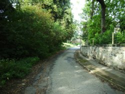 Half Moon Lane, Kirkthorpe