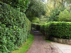 Lane leading to Half Moon Lake, Kirkthorpe Wallpaper