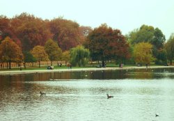 Hyde Park, London Wallpaper