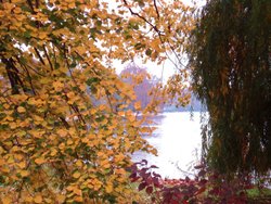 Hyde Park, London Wallpaper