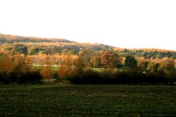 Autumn colours at Gateshead. Wallpaper