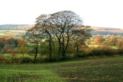 Autumn colours at Gateshead. Wallpaper