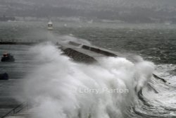 Breakwater Brixham Wallpaper