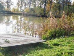 Farleigh Wood fishing lake (private land)