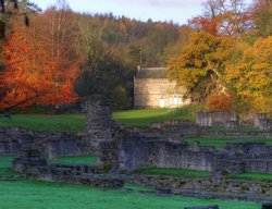 Roche Abbey Wallpaper