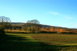 Gateshead. Wallpaper