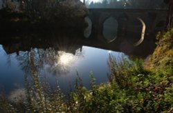 Autumn Sun Wallpaper