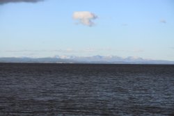 Early Signs of Winter