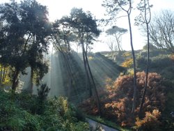 Bournemouth Wallpaper