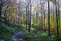 A circular walk from Shillingstone to Hanford.