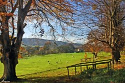 A circular walk from Shillingstone to Hanford. Wallpaper