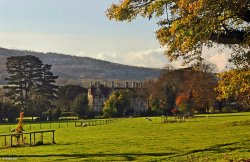 A circular walk from Shillingstone to Hanford. Wallpaper