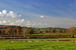 A circular walk from Shillingstone to Hanford. Wallpaper