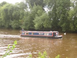 Meander in the Rain Wallpaper