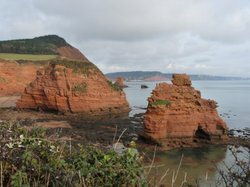 Ladram bay Wallpaper