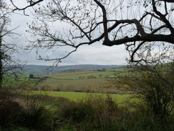 Ladram bay Wallpaper