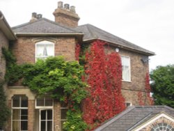 Bridgnorth Wallpaper