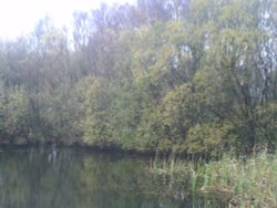 A lakeside scene Wallpaper