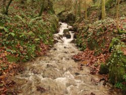 A spring that became a waterfall.