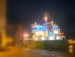 Arklow Rogue Wallpaper