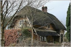 Old English Cottage Wallpaper