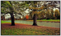 Autumn in Lydiard Wallpaper