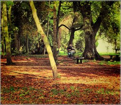 Romancing the Autumn Wallpaper