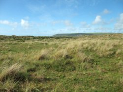 Braunton Burrows