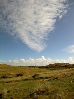 Braunton Burrows