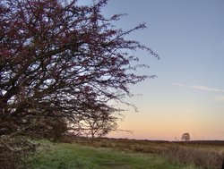 Brocton towards Sherbrook valley