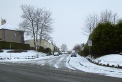 Winifred Street Wallpaper