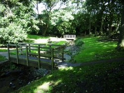 Steeton Beck Wallpaper