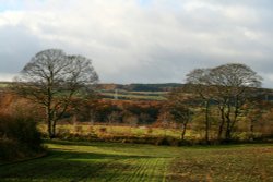Gateshead Autumn. Wallpaper