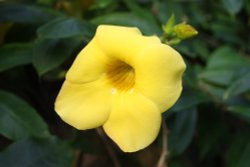 At the Eden Project Wallpaper